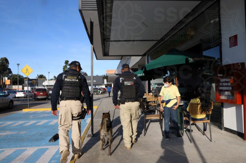 Refuerza Policía Estatal seguridad y vigilancia por la época decembrina